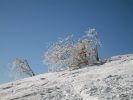 Im Skigebiet Loser