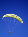 Paraglider