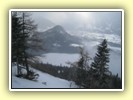 IMG_4520