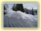 IMG_4575