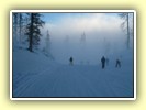 IMG_4844